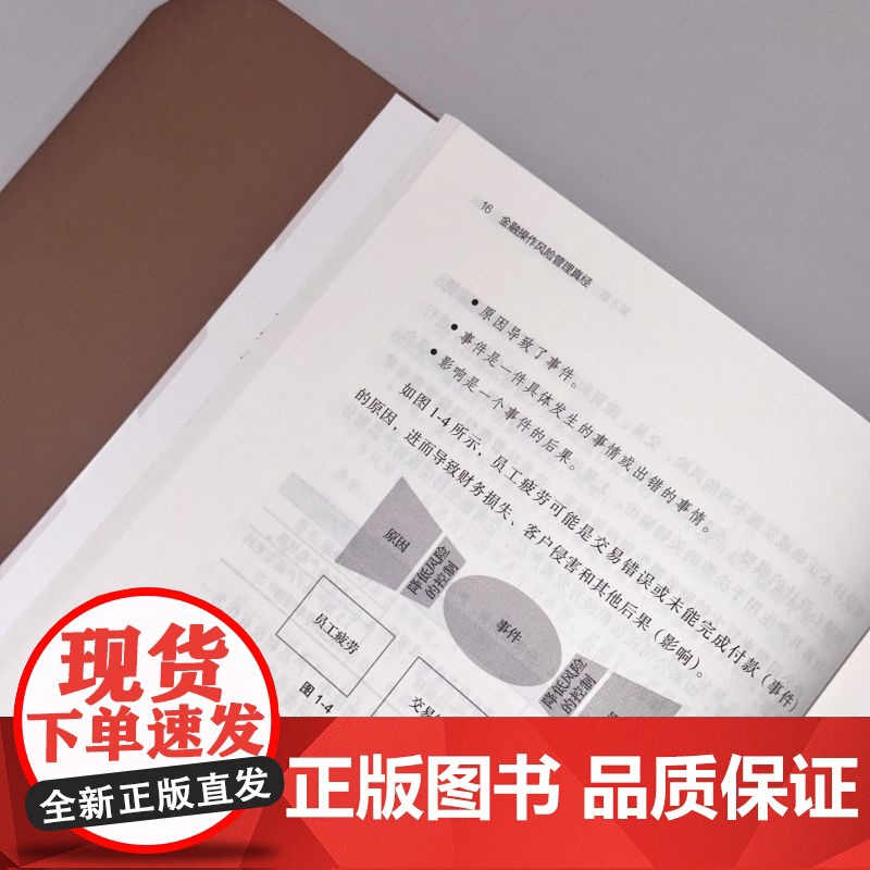 正版 金融操作风险管理真经:来自全球知名银行的实践经验 Elena Pykhova 花旗等知名商业银行的实践经验 机高清大图