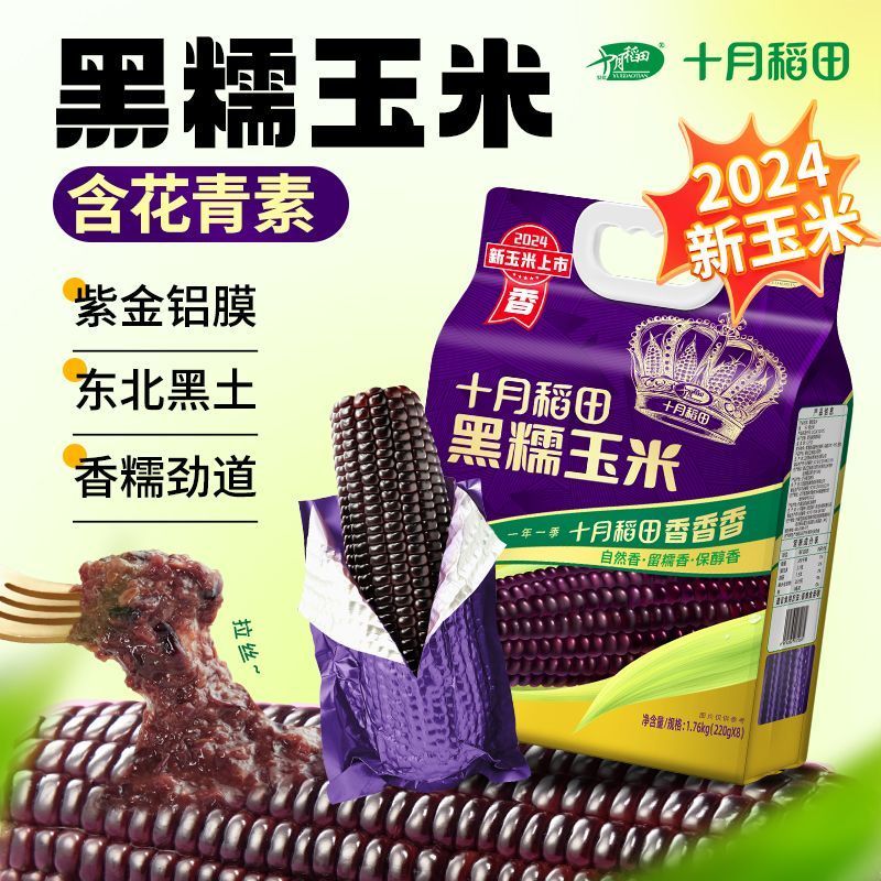 十月稻田黑糯玉米220g*8根东北软糯甘甜大棒富含花青素清香1.76kg
