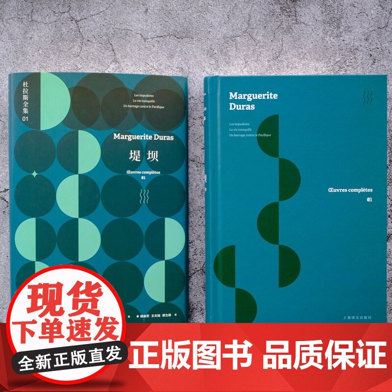 堤坝 杜拉斯全集1 杜拉斯全集 玛格丽特·杜拉斯 著 文学高清大图