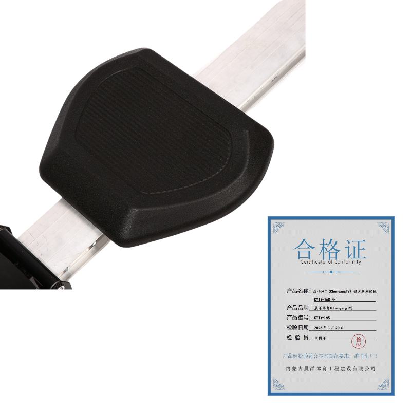 晨洋体育(ChenyangTY) 健身房划船机 CYTY-168 个高清大图