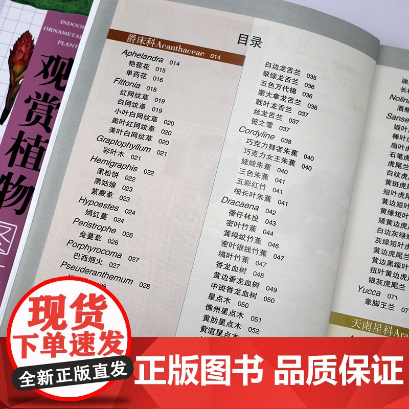 [全2册]室内观赏植物图鉴 收录近1000种室内观赏植物图鉴百科辨识植物图片插图养花室内栽植户外绿化景观参考工具书籍高清大图