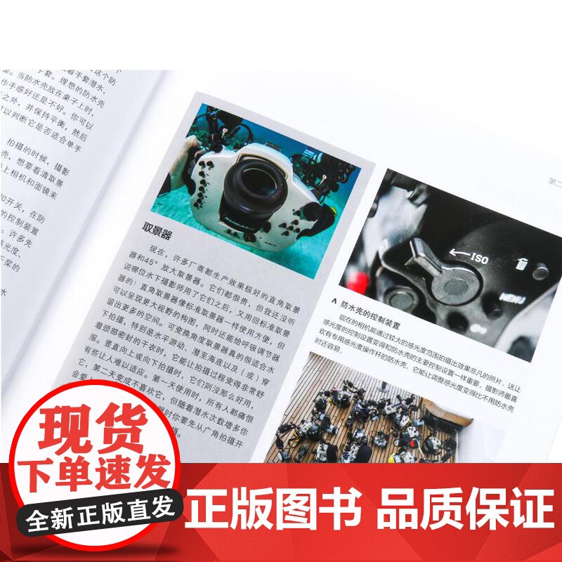 水下摄影(世界水下摄影师Alex Mustard力作;史上超实用水下摄影指南,深受全球潜水、摄影爱好者追捧)高清大图