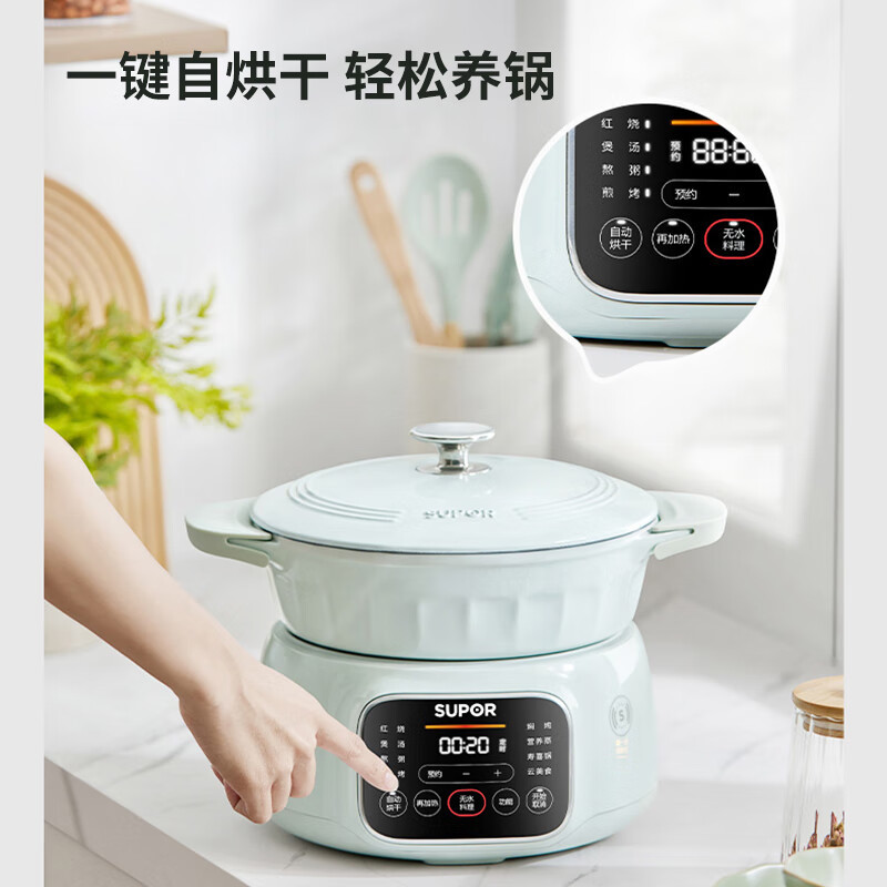 苏泊尔(SUPOR)电炖锅 炖锅盅电炖锅煲汤锅炖盅电炖锅电炖汤锅煮粥锅电汤锅24小时预约 分体珐琅锅 DG30YC861