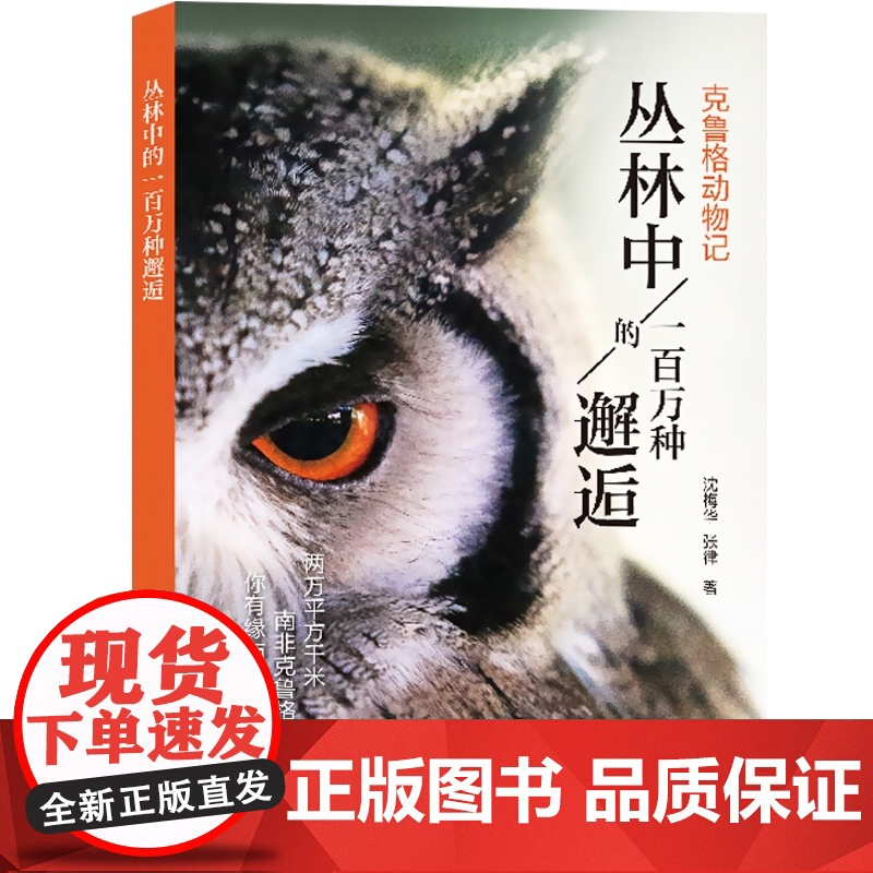丛林中的一百万种邂逅克鲁格动物记 沈梅华张律小虎小豹化石南非自然保护区野生动物保育自然栖息大象长颈鹿 上海科技教育出版社高清大图