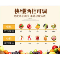 电动绞菜机绞肉机纳丽雅(Naliya)家用剁饺子馅碎菜机切菜商用搅馅打菜馅手动 3升快中慢三速共三副刀送3个饺子器