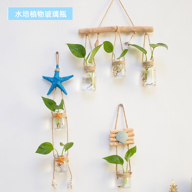 绿植墙海螺三杯