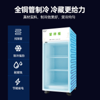 松氏 食品留样柜带锁透明学校食堂单位酒店幼儿园留样柜冰箱展示柜保鲜柜小冰箱500*500*1300mm