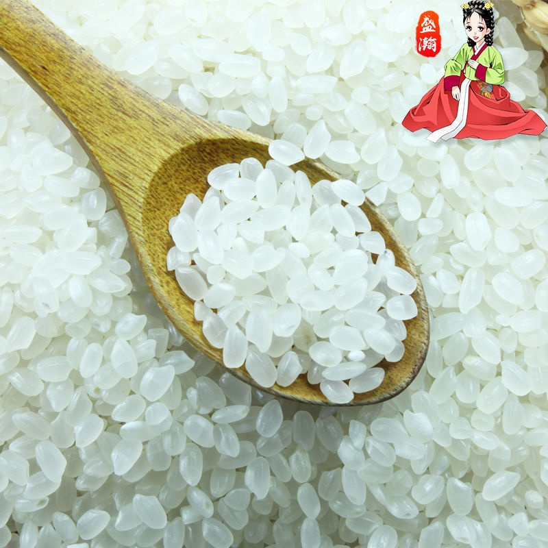 博多客 一级 5KG