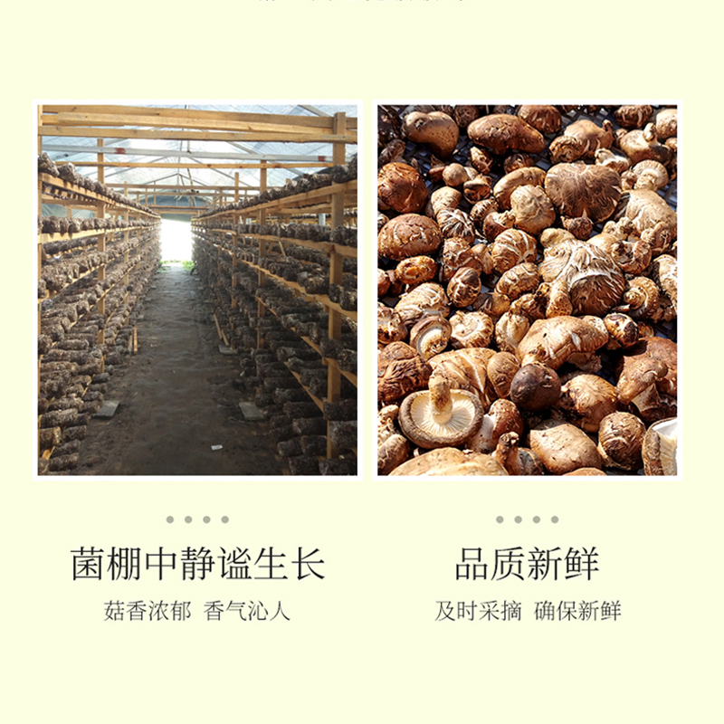 艾谷香菇250g高清大图