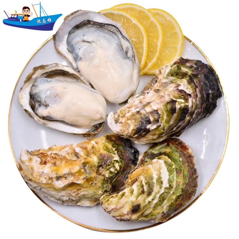 [活鲜]沈志雄船长 刺身生蚝海蛎东山岛牡蛎 冷水蚝 刺身生蚝2.5kg (约35-42个) 顺丰空运图片