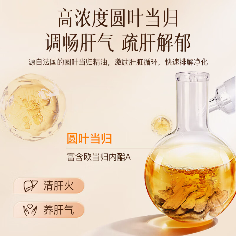 科爱元素圆叶当归精华油2号(50ml)(标准版)CI3225AF高清大图