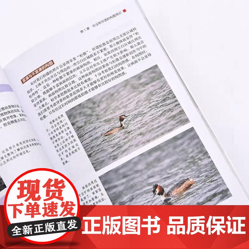 摄影构图零基础入门教程 摄影构图艺术拍摄技巧教程数码单反摄影构图教程摄影入门几何透视对比人物构图与美姿势摄影书籍高清大图