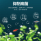 鱼乐宝鱼缸去除氯气免晒水族箱自来水质稳定片免困水快速养水