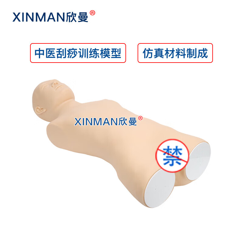欣曼科教 中医刮痧训练模型 刮痧练习模拟人 中医教学用人体模型高清大图