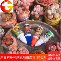 多肉煤烟病 修护营养剂 介壳虫蚧克虫黑腐黑斑专用植物介壳养护液