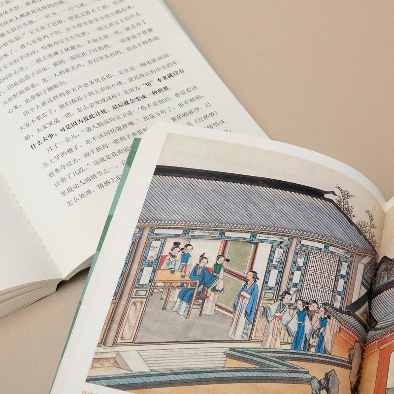 [醉染正版]蒋勋说红楼梦 青春版 彩色插图版(全2册) 蒋勋 中国古典小说、诗词 文学 长江文艺出版社高清大图