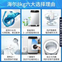 海尔(Haier)波轮洗衣机 全自动家用 8公斤智能预约 自由选择洗衣时间 漂甩二合一 2级能效 XQB80-Z1269