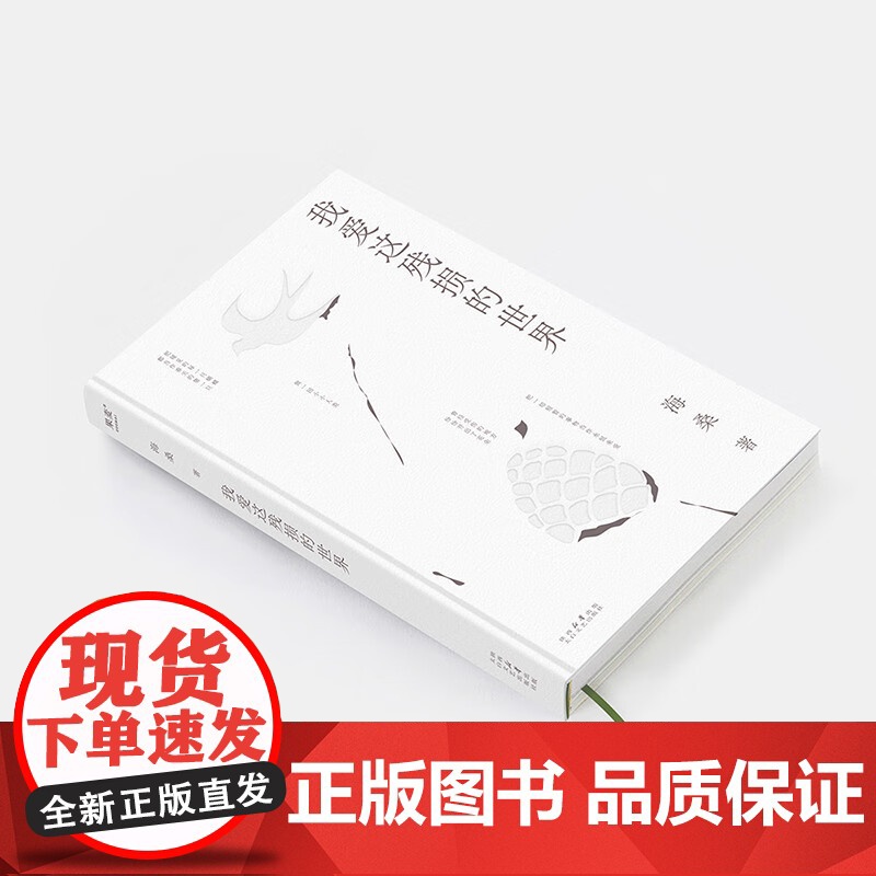 我爱这残损的世界 2023 海桑 著 文学高清大图
