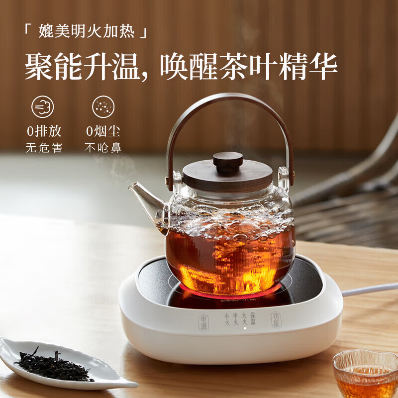 小熊(Bear)电陶炉煮茶器煮茶炉煮茶壶 围炉煮茶0.6L ZCQ-L05H5高清大图