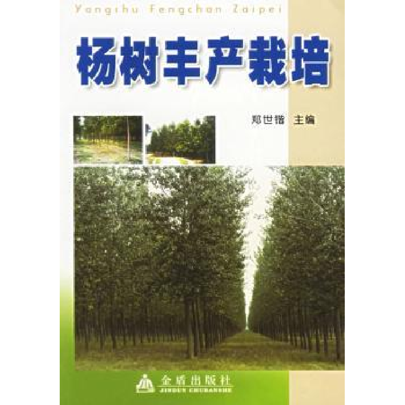 音像杨树丰产栽培郑世锴