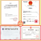 欧普拉(OPULA)消毒护理(消)酒精消毒片100片大号一次性便携式家用手机餐具首饰消毒杀菌棉片单独包装户外旅行清洁湿