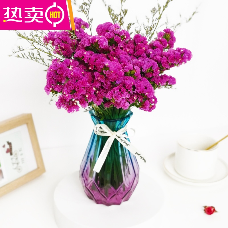 勿忘我满天星干花花束真花风干客厅装饰摆件家居摆设带花瓶fenghou 红勿 草 含蓝红花瓶 参数配置 规格 性能 功能 苏宁易购