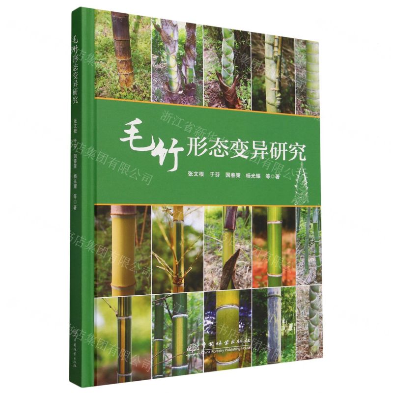【N】毛竹形态变异研究(精)-9787521920802