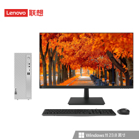 联想(Lenovo)天逸510s 台式机电脑整机 (13代i7-13700 32G 1TB SSD wifi6 蓝牙 Win11)23.8英寸 商用家用办公学习 定制
