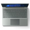 [升级固态硬盘]微软Surface Laptop Go2 i5 8G 2T 仙茶绿 商务办公轻薄本 笔记本电脑 12.4英寸全面屏触控屏幕