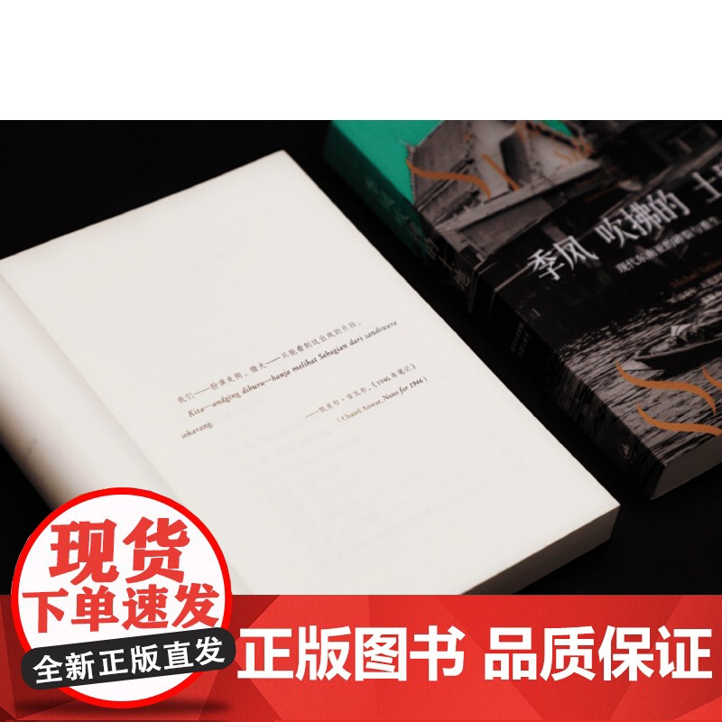 季风吹拂的土地现代东南亚的碎裂与重生 迈克尔瓦提裘提斯东南亚社会症结历史纪实写作地理社会学丛书金融时报选书 上海人民出版高清大图