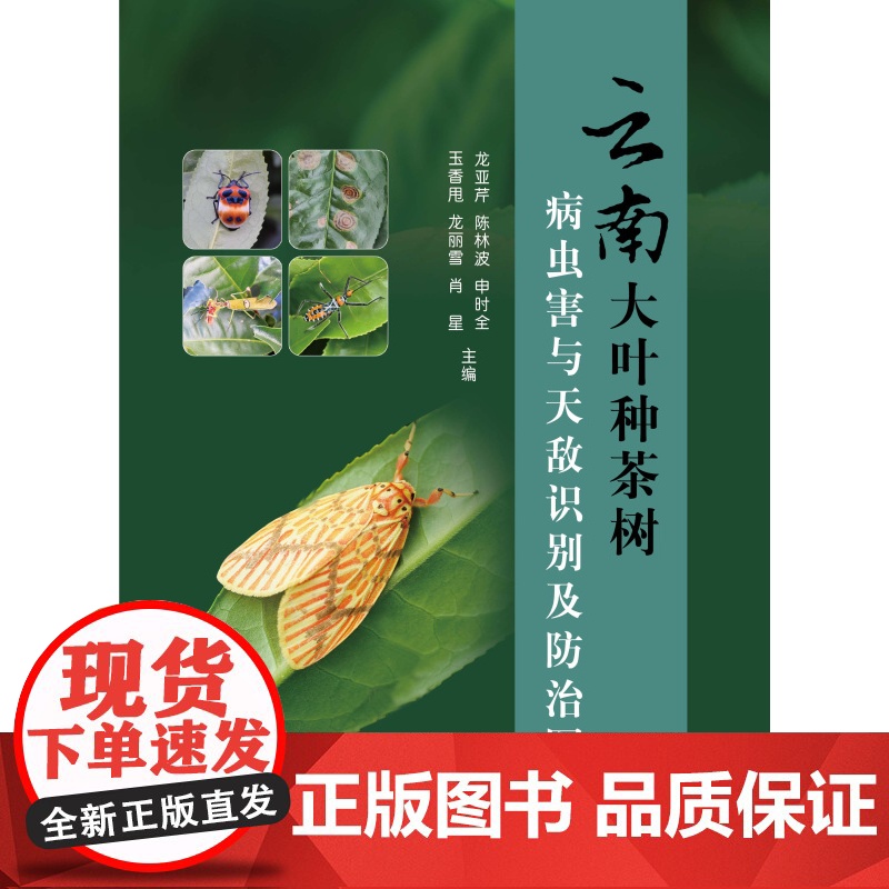 云南大叶种茶树病虫害与天敌识别及防治图谱高清大图