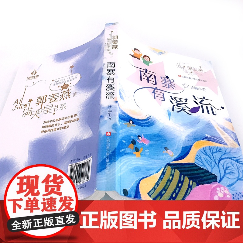 南寨有溪流/郭姜燕满天星书系 儿童心灵成长 长篇小说 暑假阅读书目高清大图