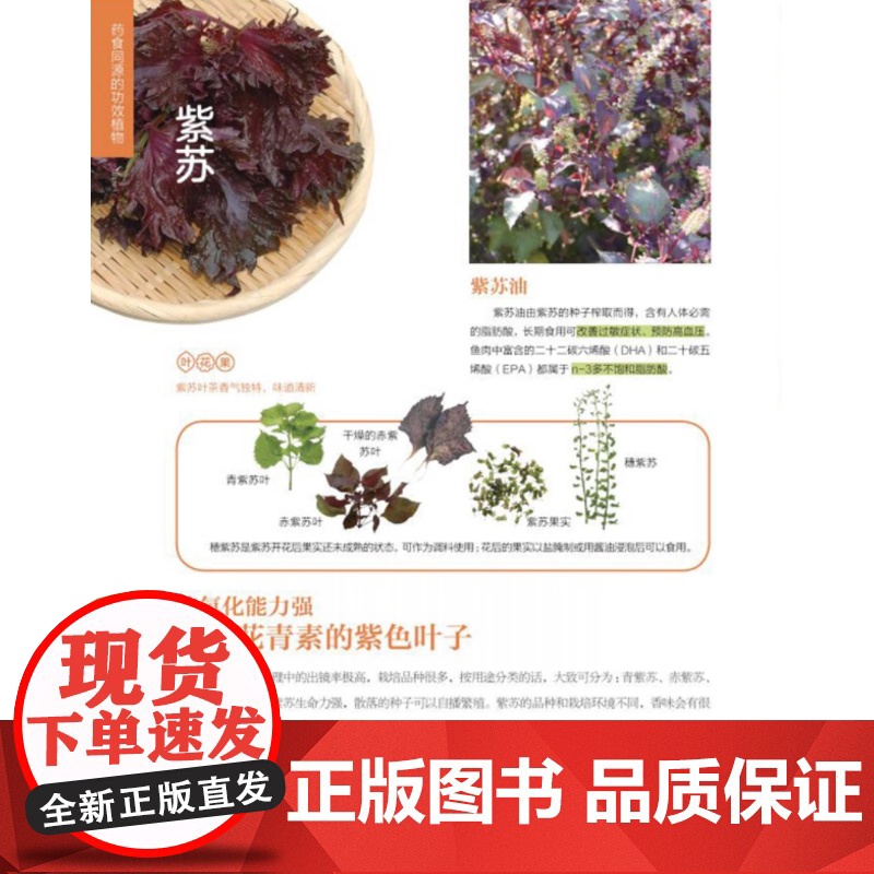 香草生活手账高清大图