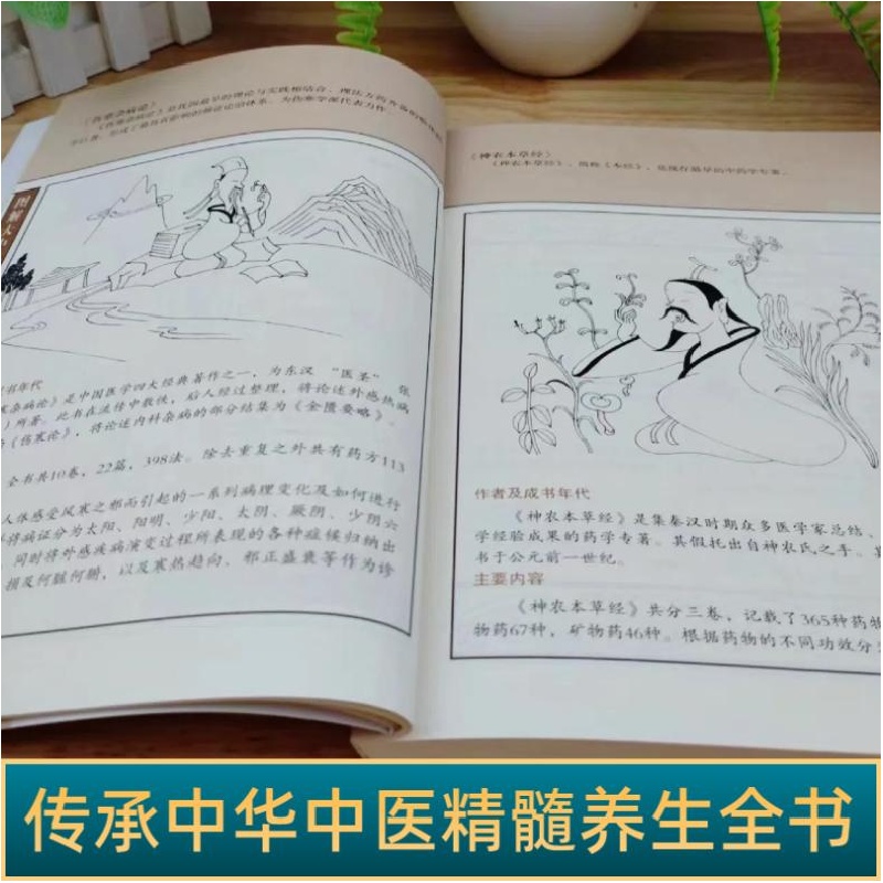 正版新书]一本就能看懂中医:基础篇常学辉 主编 著9787557649258高清大图