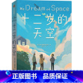 十二岁的天空 【正版】十二岁的天空 2021年纽伯瑞儿童文学奖银奖 8-12岁 艾琳恩特拉德凯利著 2021纽伯瑞的 天