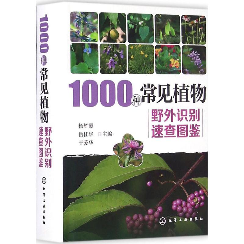醉染图书1000种常见植物野外识别速查图鉴9787122280480高清大图