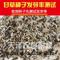 甘种子 纯新材种苗新疆红皮甘种苗芽指导种植