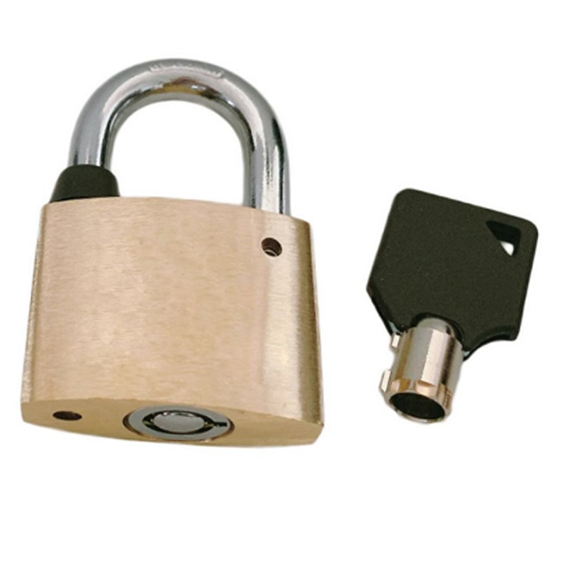 鸿灵睿芯 GS19 合金+铜 35mm*25mm 挂锁(计价单位:个)金色高清大图