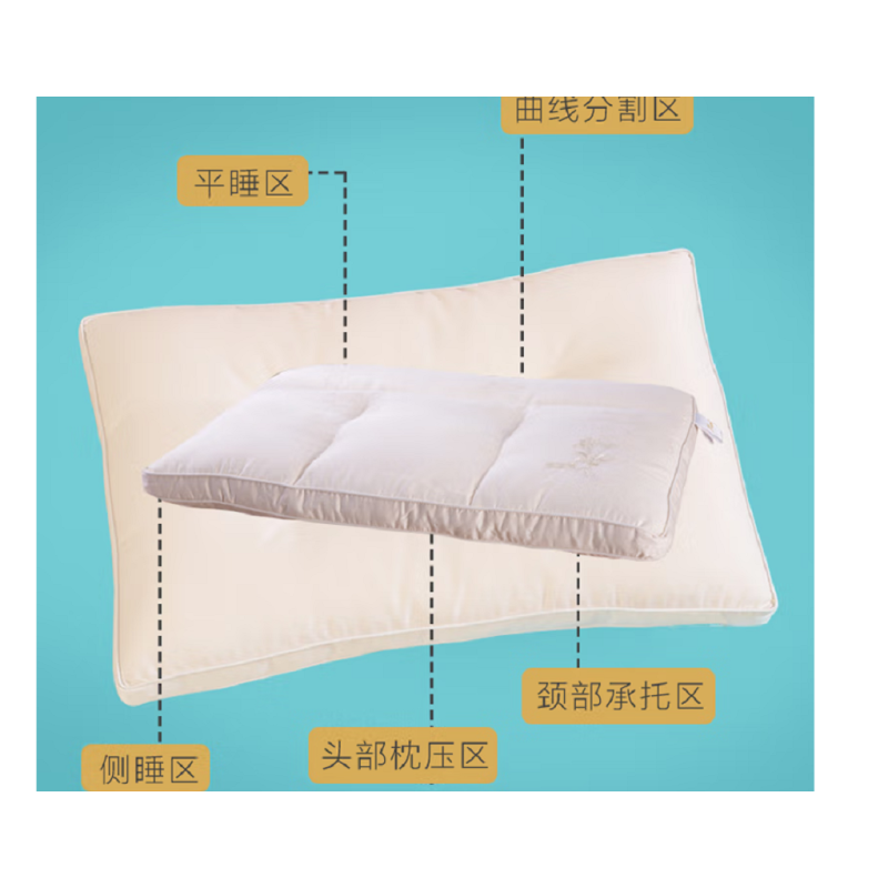 顶瓜瓜健康枕板蓝根枕DGGZ1009