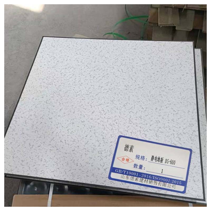 德素 全钢静电地板 DS-600 平方米高清大图