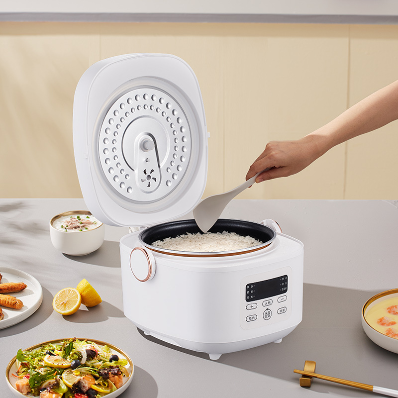 丽特斐 多功能智能电饭煲 3L容量XP-K3高清大图