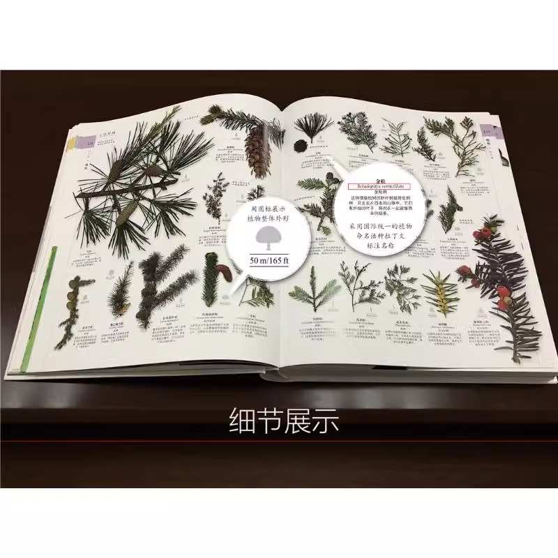 [DK系列]儿童百科全5册 [正版]DK博物大百科全书中文 dk儿童动物恐龙植物生物我们的身体6-7-10岁精装绘本一年