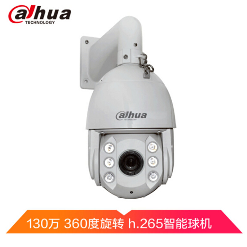 大华(alhua)DH-SD6C80FB-GN监控摄像头 室外摄像机 130万网络监控球机 红外高速360度旋转光学变焦