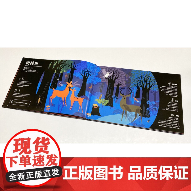 黑夜里的小动物 3-8岁 安妮·扬科略维奇 著 儿童绘本高清大图