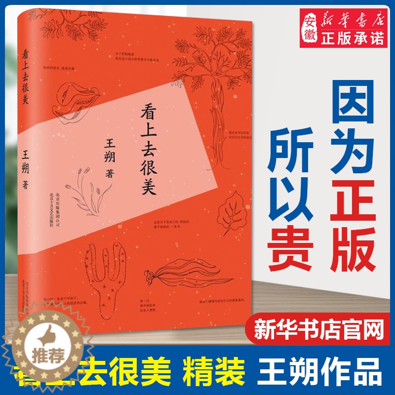 【醉染正版】正版 看上去很美 王朔随笔集作品致女儿书我是你爸爸 爱情小说都市 情感小说中国现当代文学经典文学小说 畅
