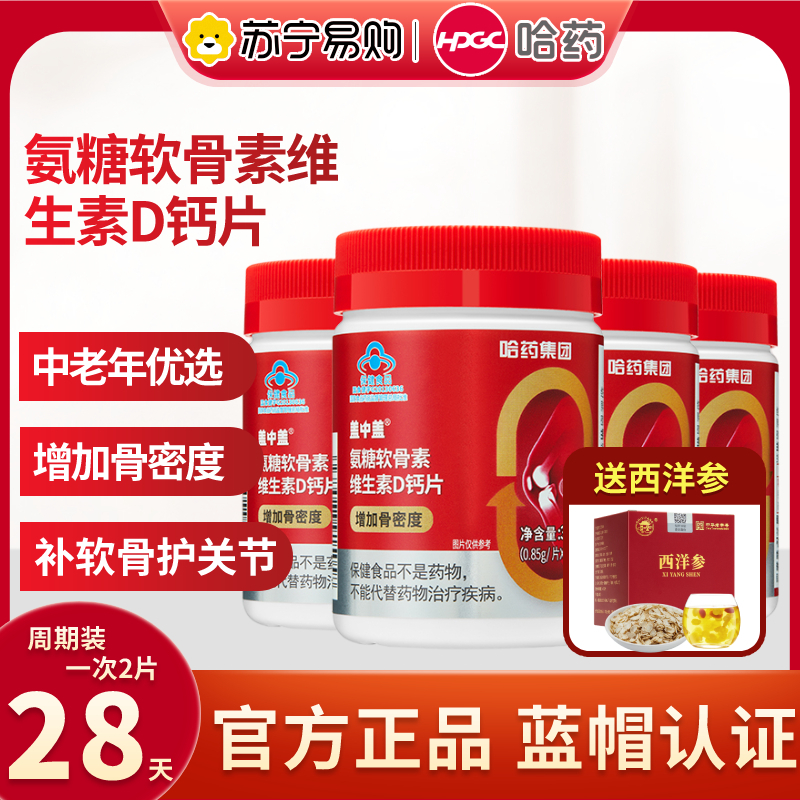 [送西洋参]盖中盖氨糖软骨素维生素D钙片42片*4瓶 送西洋参一盒 增加骨密度补充维生素矿物质运动健身中老年适用关节灵