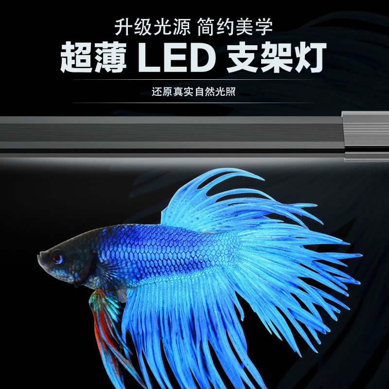 鱼缸灯高透光水灯led灯防水水族箱照明灯LED灯组合色缸灯高清大图