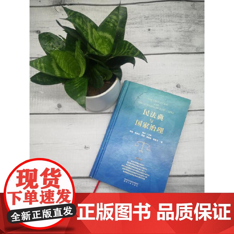 民法典与国家治理高清大图