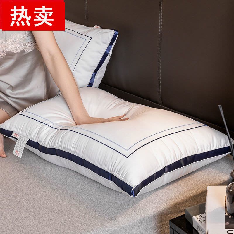 枕头枕芯一对装枕头芯酒店枕成人颈椎枕靠枕宿舍枕头春夏秋冬季图片