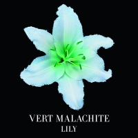 Giorgio Armani阿玛尼高定私藏环游系列50ml EDP浓香水 绿雀石VERT-MALACHITE